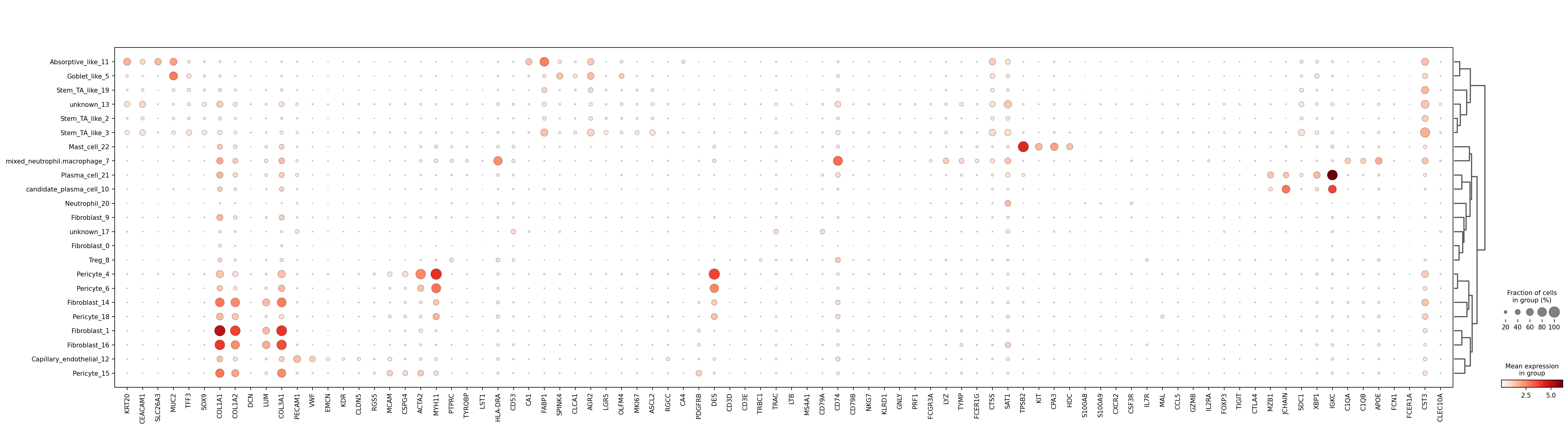Canonical marker dotplot across HierAnnot labels for standard Leiden clusters.