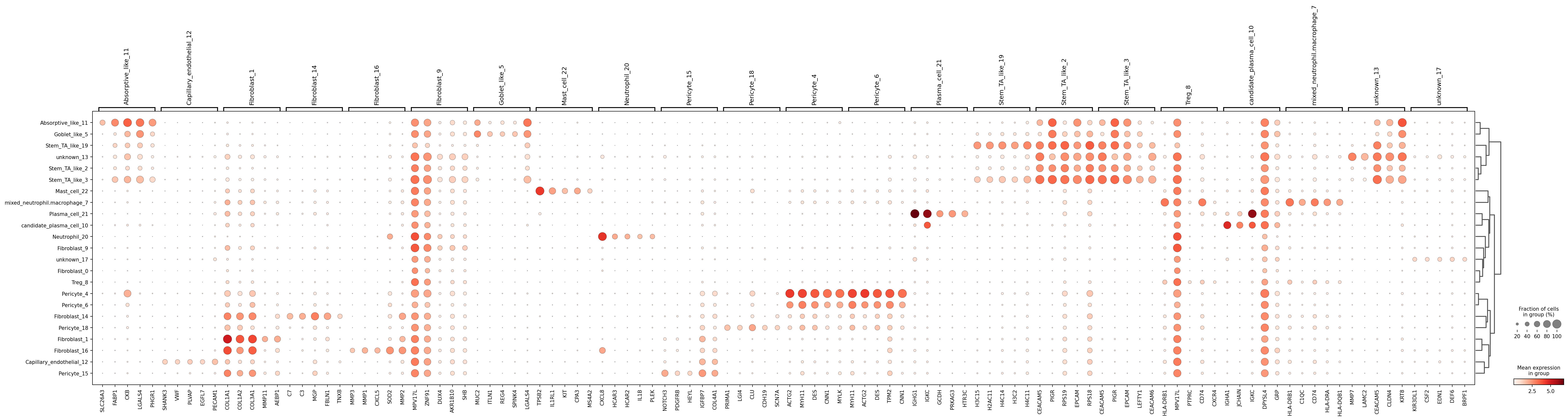 Marker dotplot of thresholded robust markers across HierAnnot labels for standard Leiden clusters.