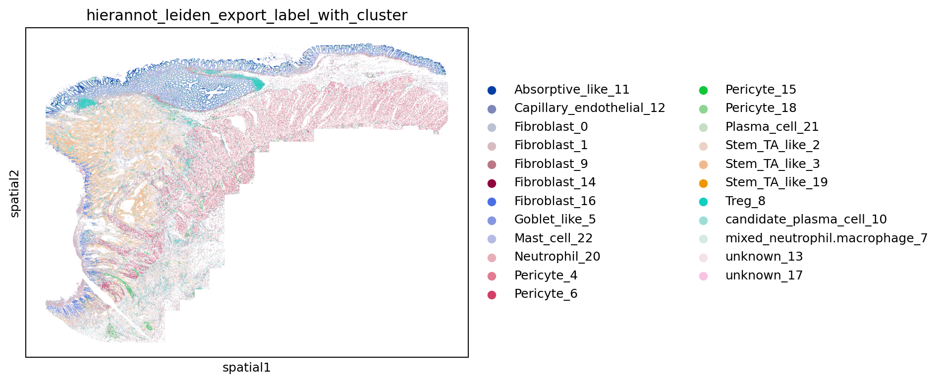Spatial map colored by HierAnnot labels
