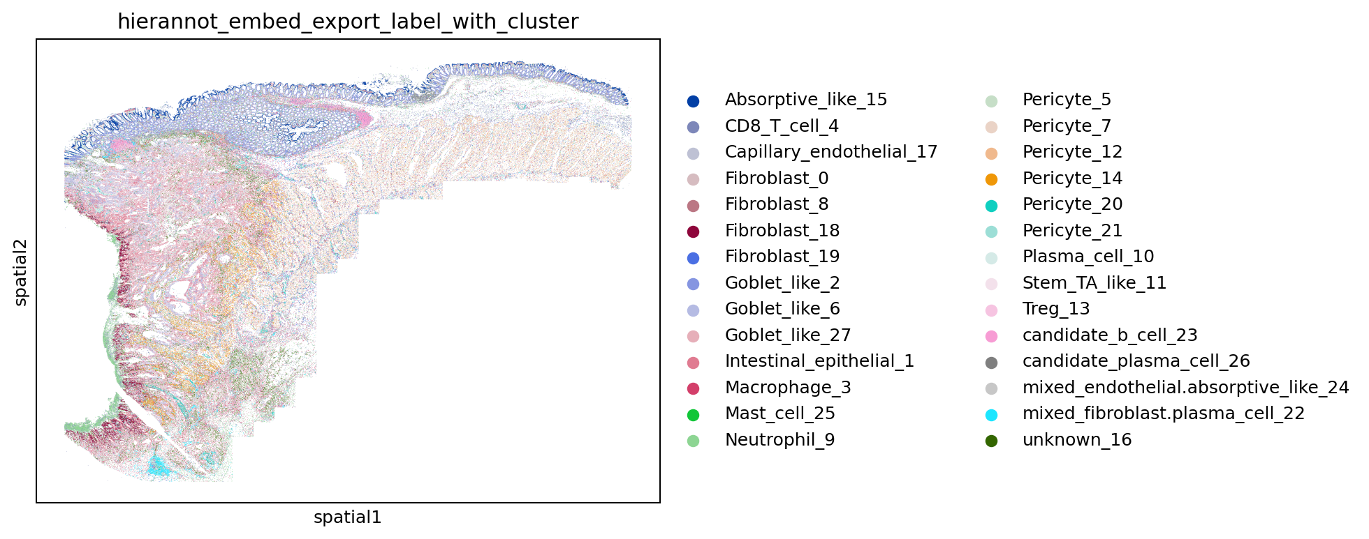 Spatial map of embedding-derived HierAnnot labels
