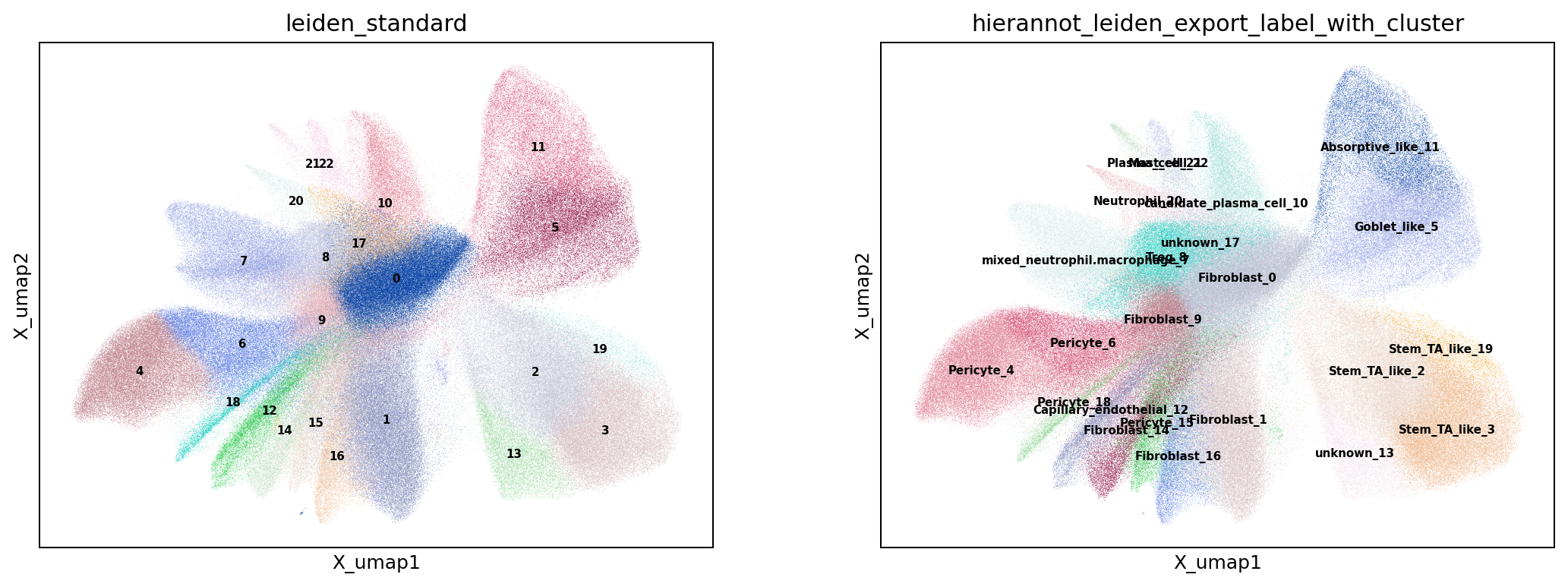 UMAP colored by Leiden and HierAnnot labels